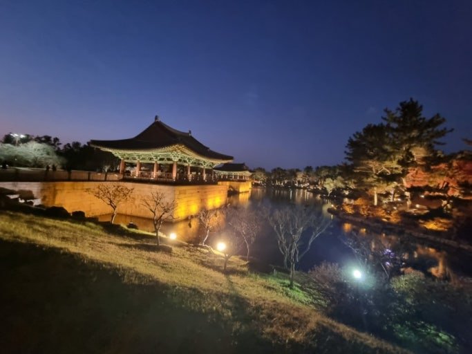 Gyeongju in One Day 2026: A Korean Dad’s Honest Itinerary