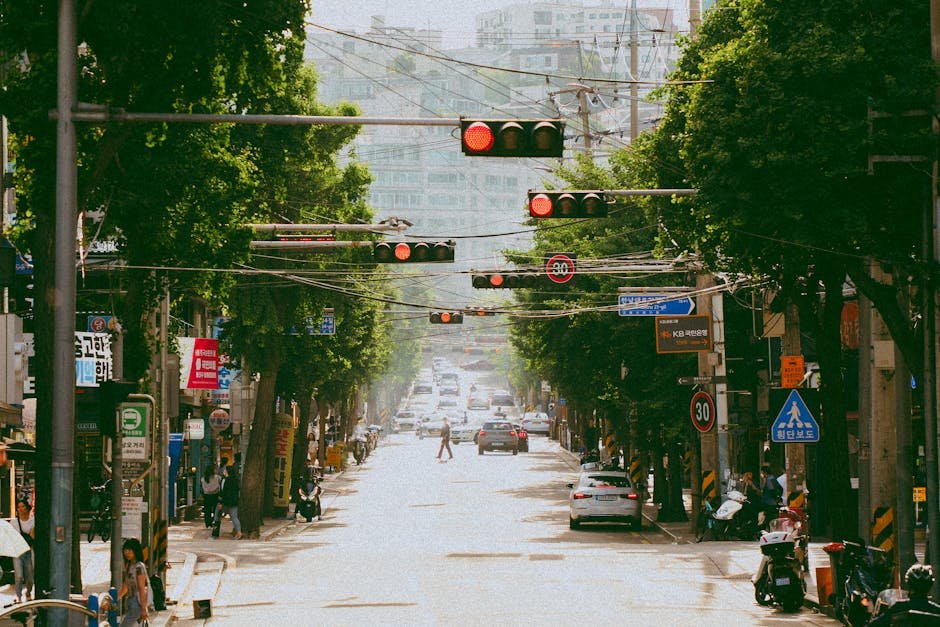 Korea in June 2026 — a sunny early-summer street scene before the monsoon, Seoul Korea
