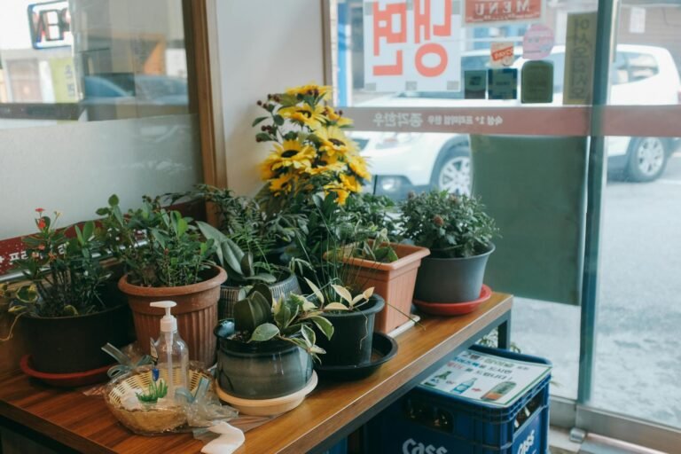 K-pop idol cafe interior in Seoul 2026 with themed drinks and photocard displays