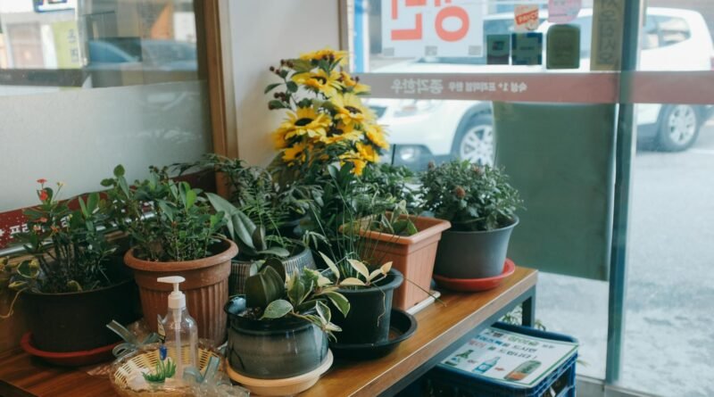 K-pop idol cafe interior in Seoul 2026 with themed drinks and photocard displays